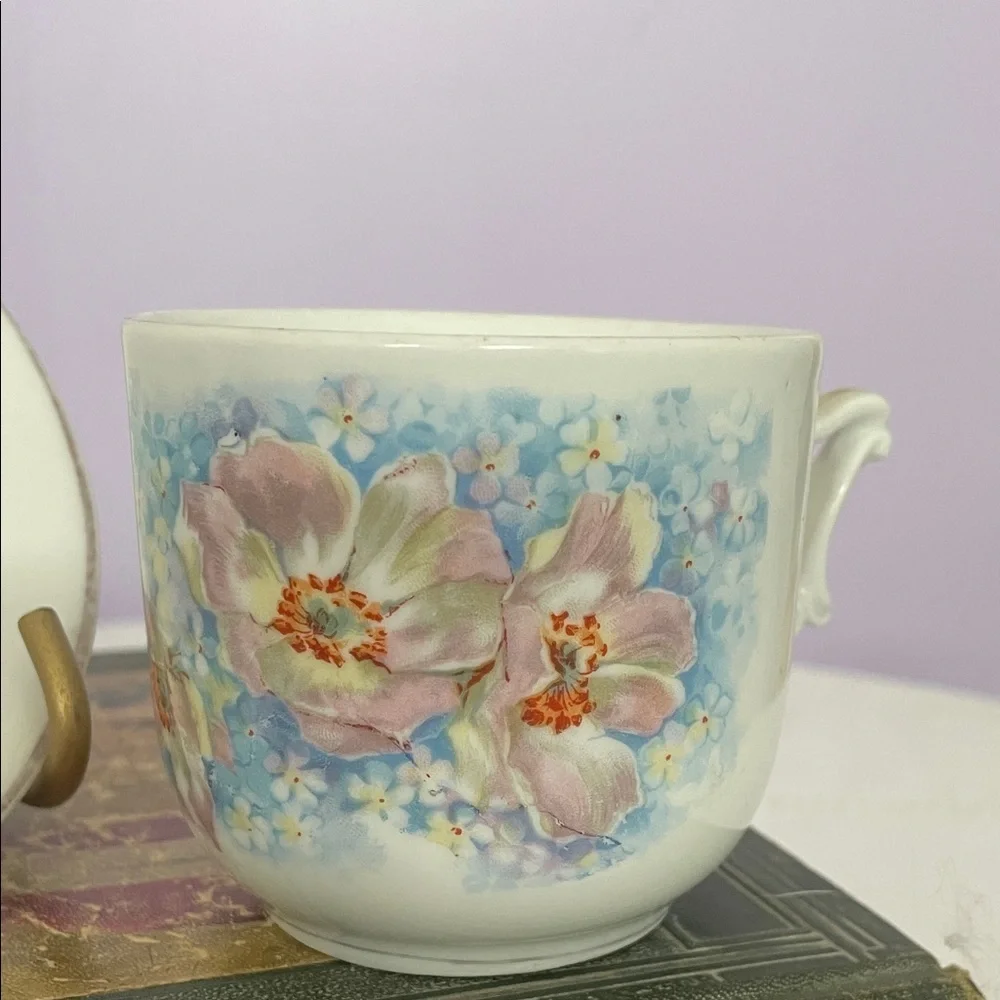 Floral Teacup and Saucer Set